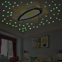 Luminous Stars 100 Pieces Stars for Ceiling Decorations (3).webp