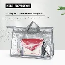 XL Clear Handbag Storage Organizer (2).webp