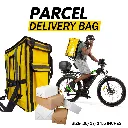 Parcel Delivery Bag-01-01-01.webp